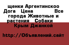 щенки Аргентинскоо Дога › Цена ­ 25 000 - Все города Животные и растения » Собаки   . Крым,Джанкой